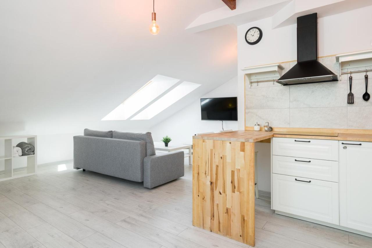 Apartment Alexander 크라쿠프 외부 사진
